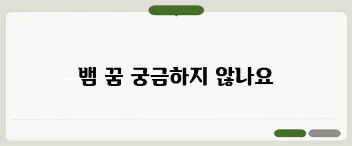 뱀 꿈해몽 사용법 필수 체크리스트
