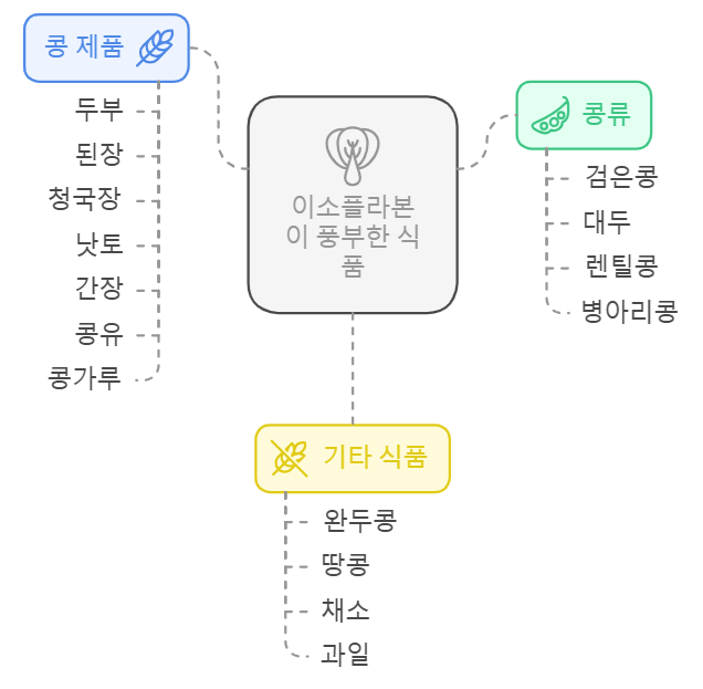 이소플라본이 풍부한 식품