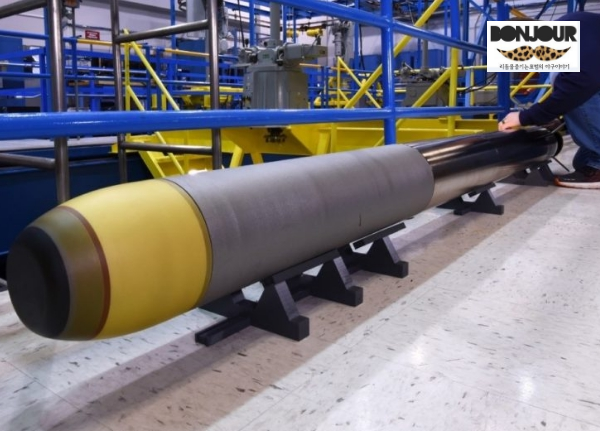 어뢰배트 디자인의 모티브가 된 실제 어뢰(Torpedo) 형태