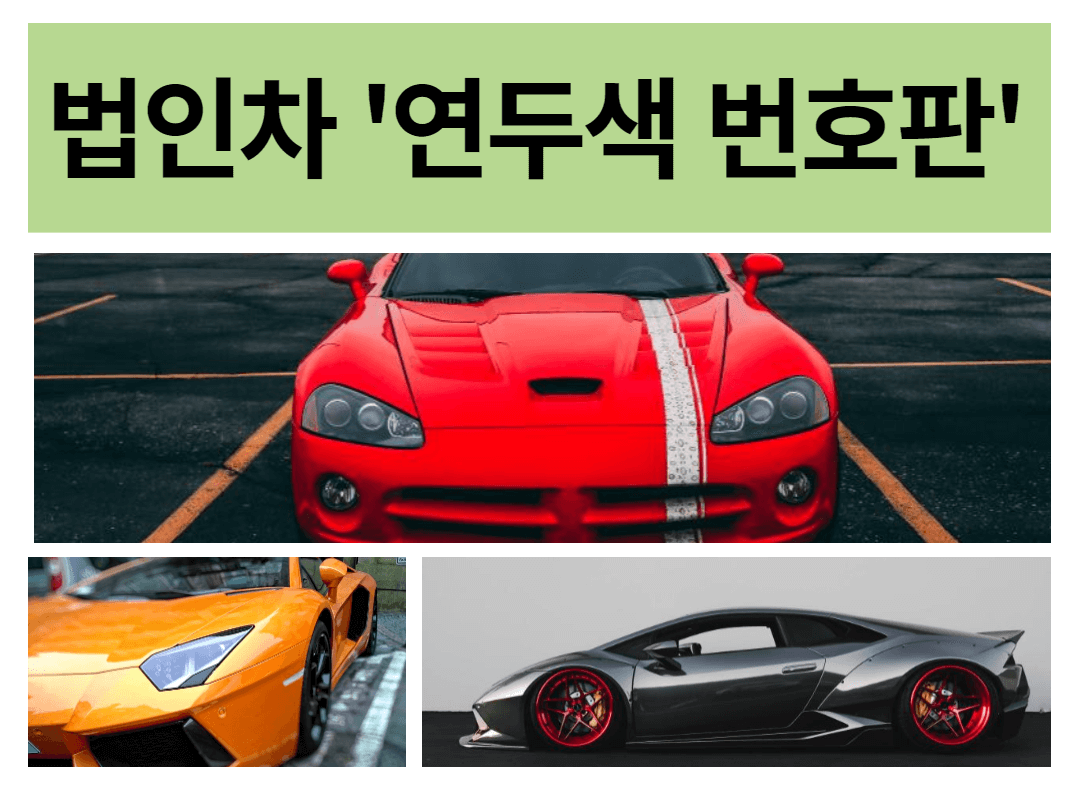 법인차 연두색 번호판