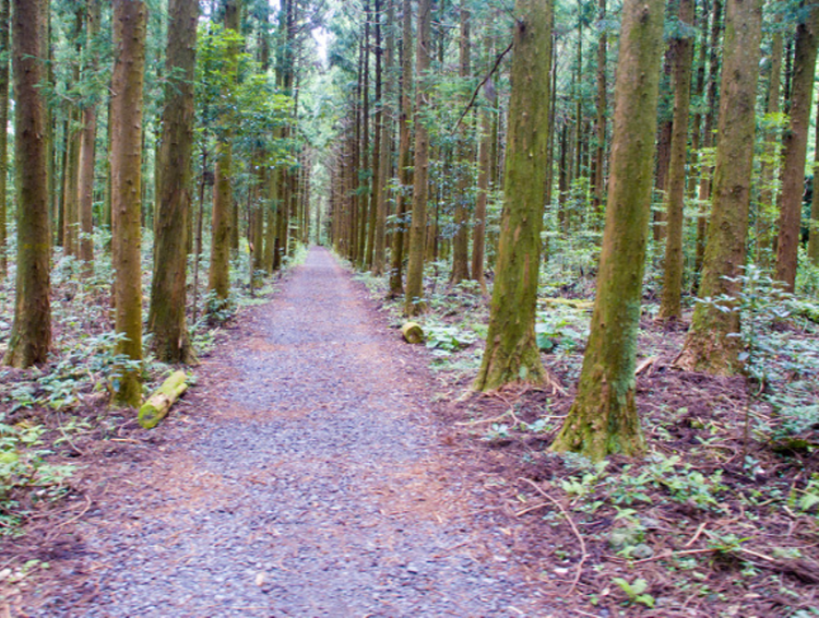 한라산 둘레길