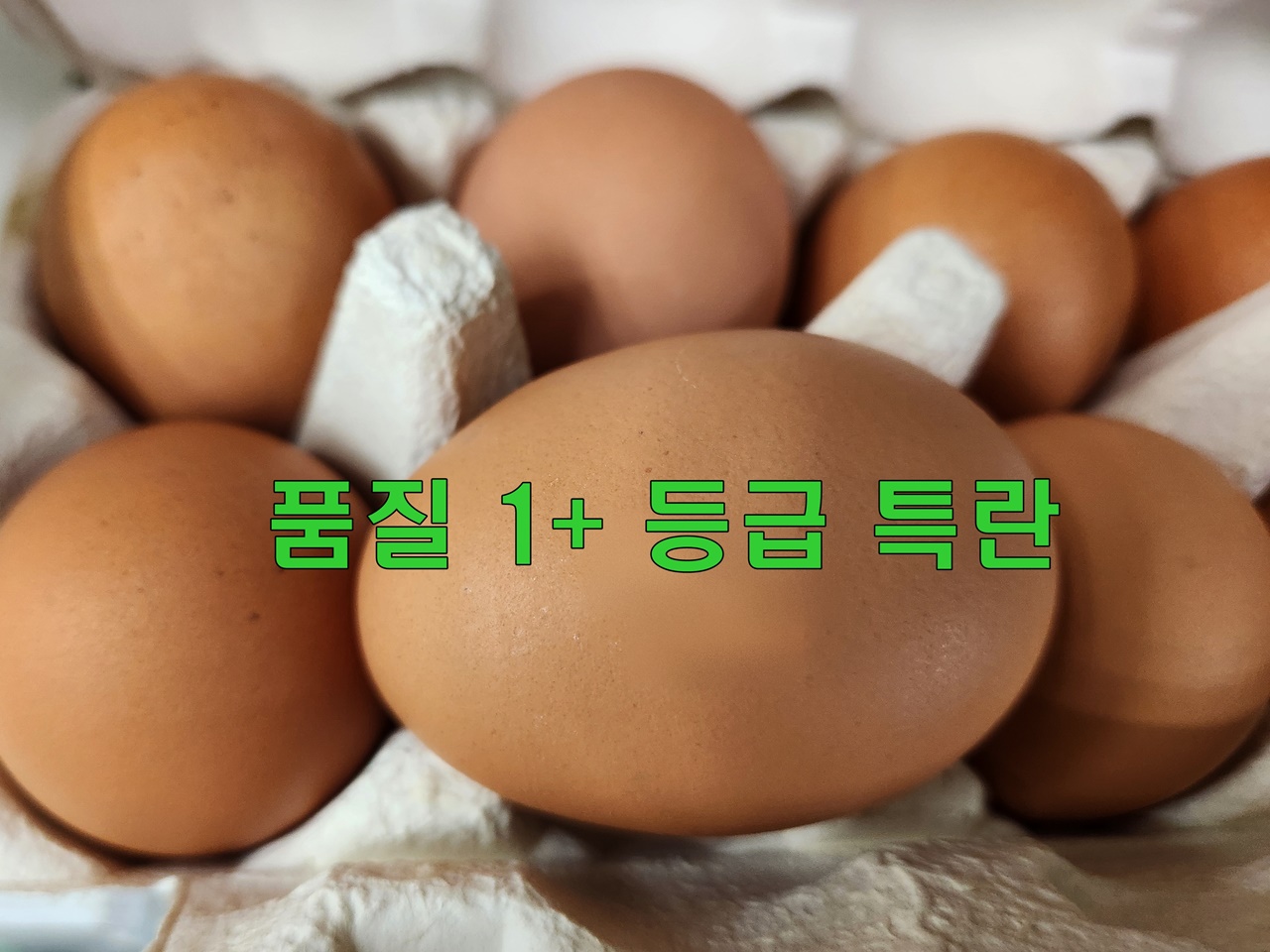 계란 품질등급