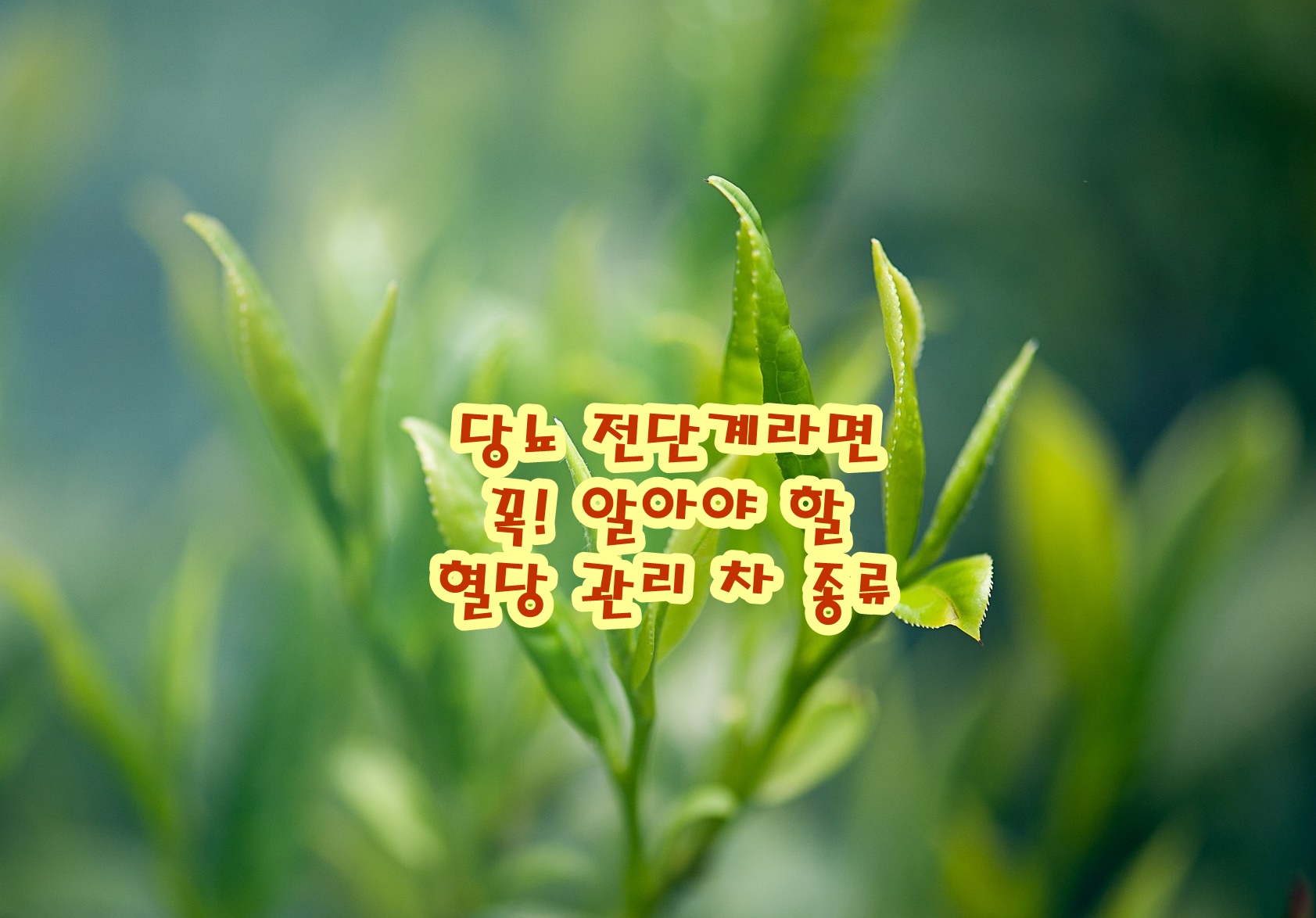 당뇨 전단계라면 꼭 알아야 할 혈당 관리 차 종류