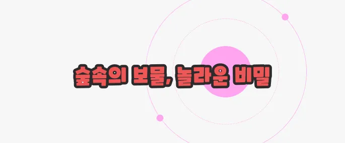 능이버섯 효능 천천히 들여다보죠