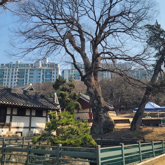 심곡서원