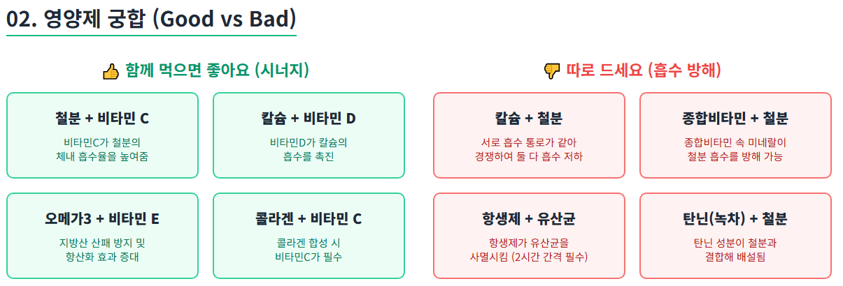 영양제 별 궁합을 나타내는 인포그래픽 이미지