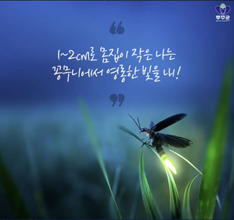 무주 반딧불축제