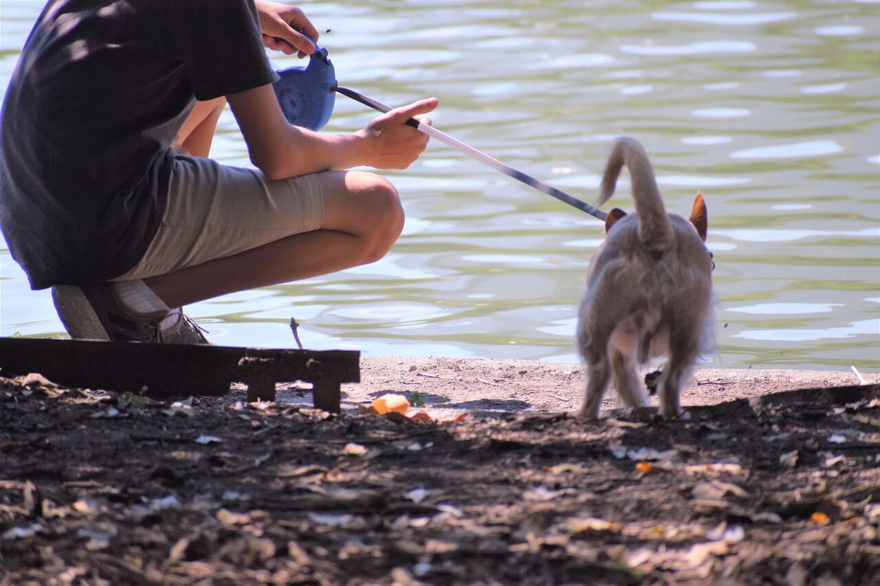 펫시터자격증, 반려동물 돌봄 전문가가 되는 첫걸음!