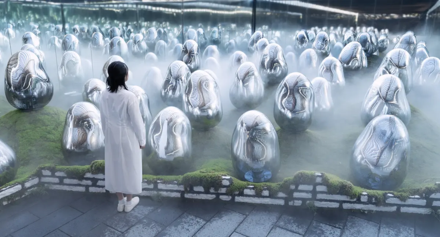 팀랩플래닛 관람 이끼 정원 속 공명하는 소우주, 고체화된 라이트 컬러