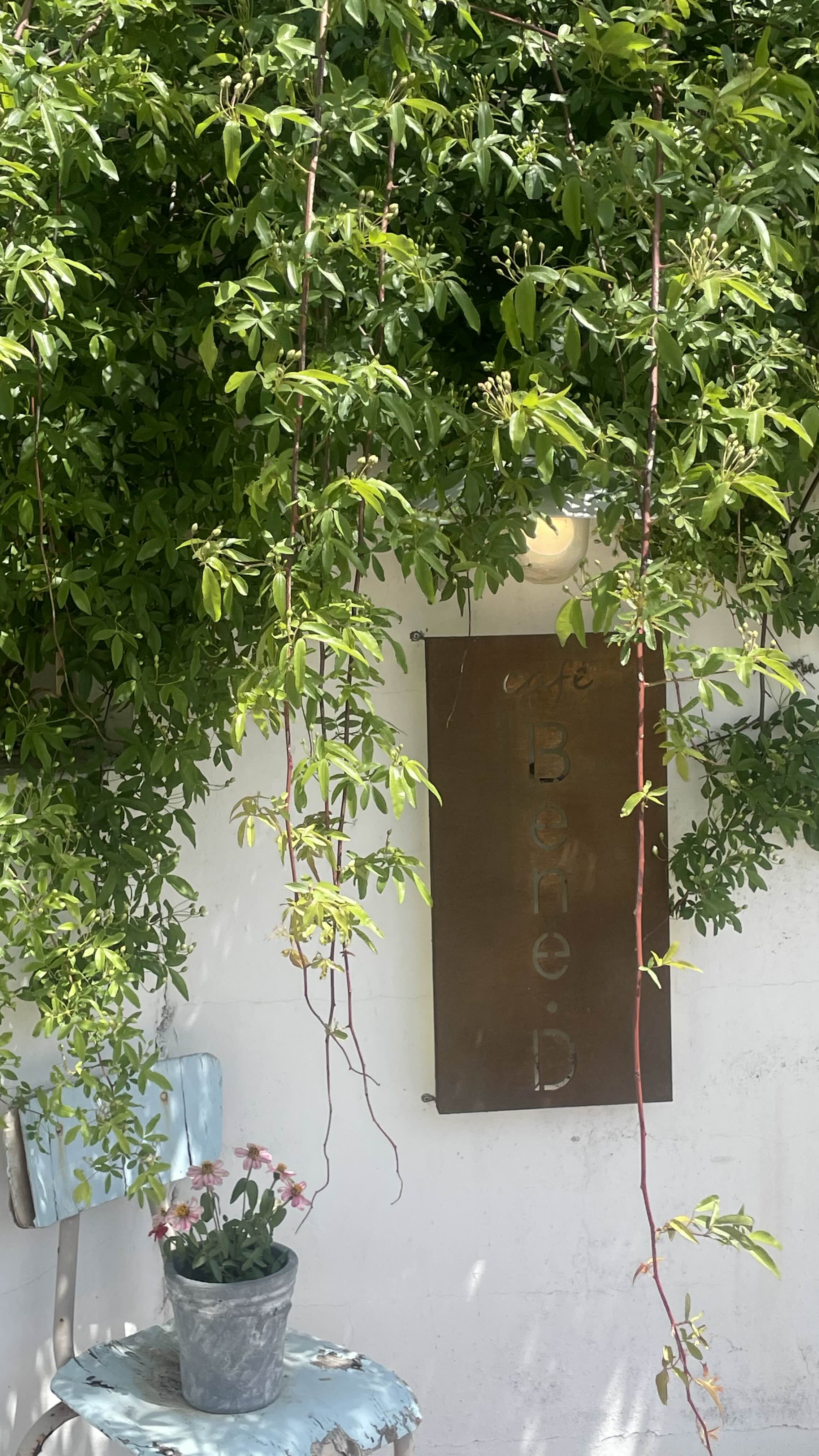 경주 안강 감성 카페 카페베네딕트