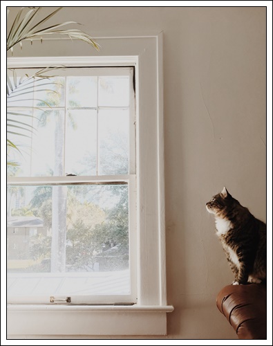 차상위계층 확인서발급 혜택 안내