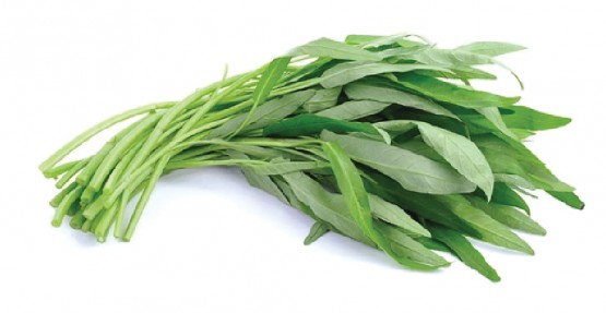 공심채(모닝글로리) 효능 및 먹는법 / 보관법