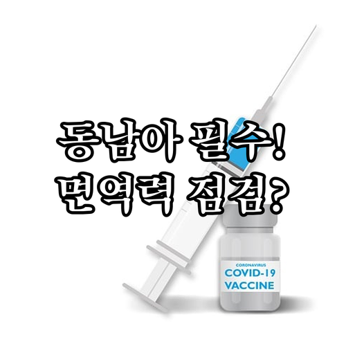 동남아 여행 안전 대비 장티푸스 간염..