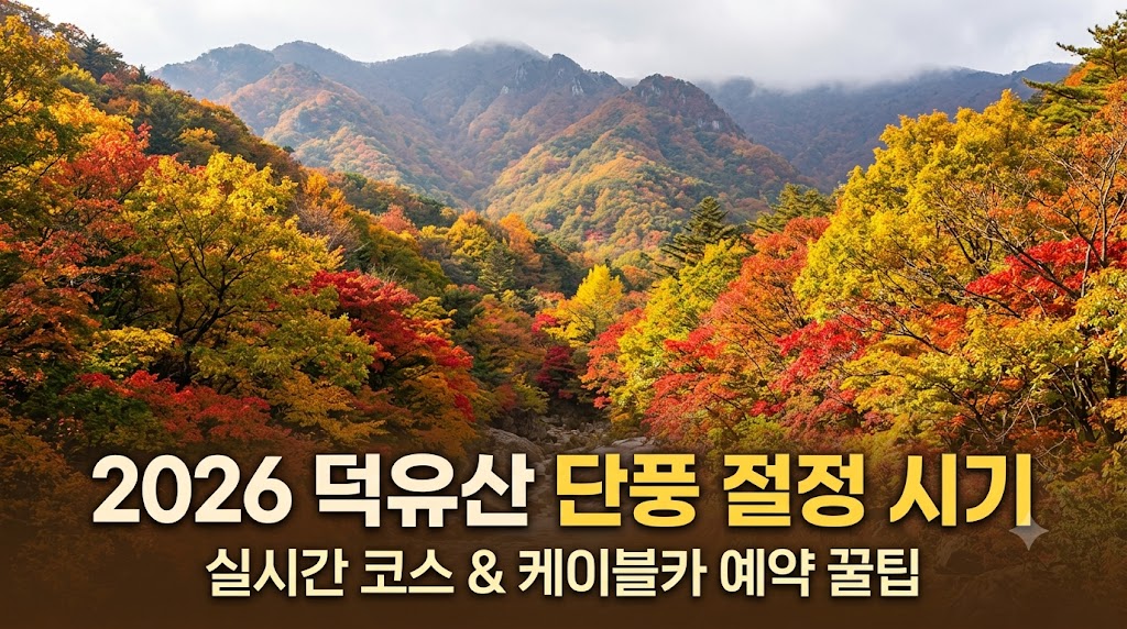 덕유산 단풍 절정시기