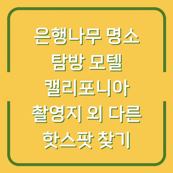 은행나무 명소 탐방 모텔 캘리포니아 촬영지 외 다른 핫스팟 찾기