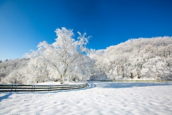 귀뚜라미보일러 온도조절기 예약사용법