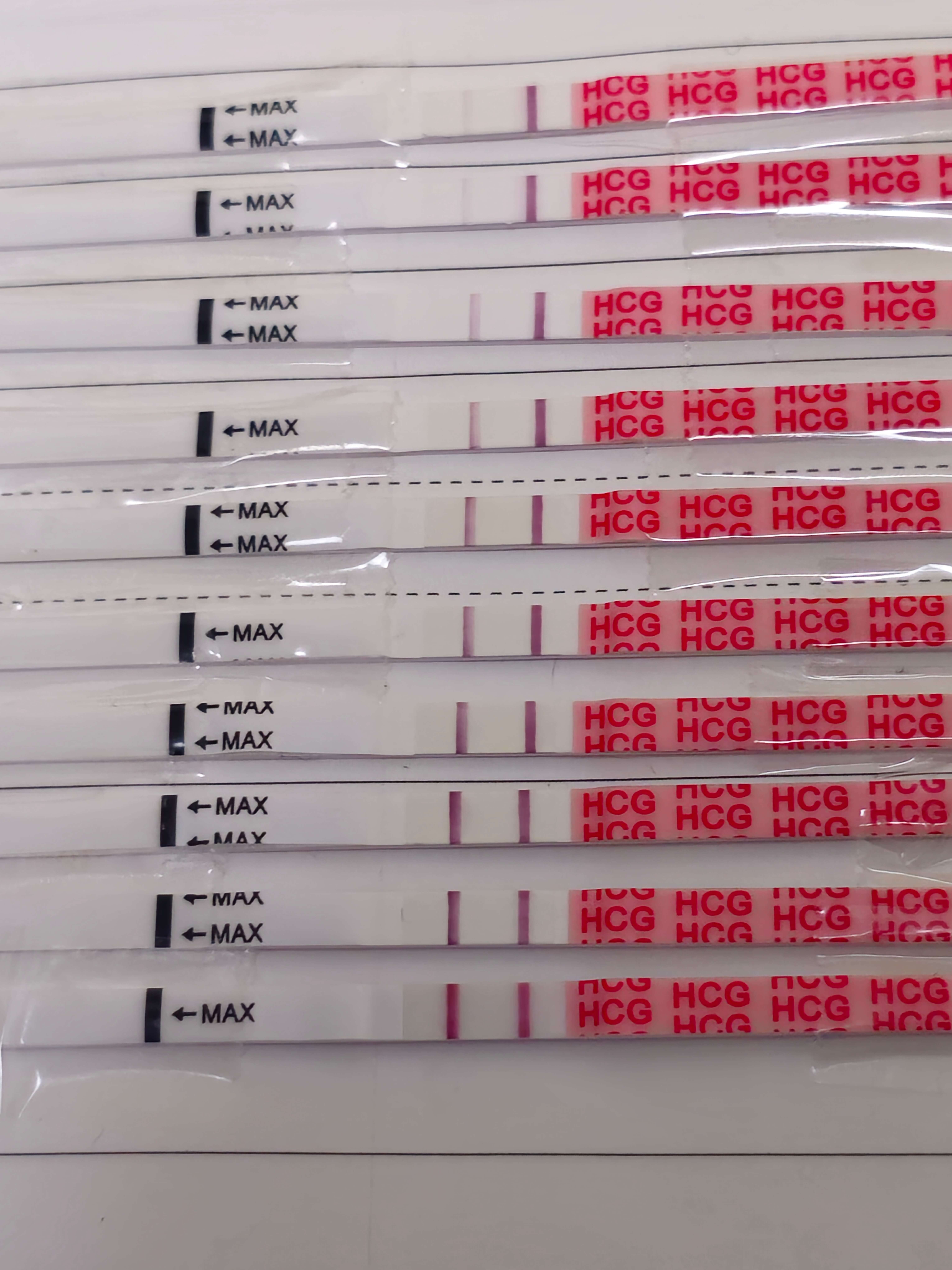 임신-4주차-임테기-역전