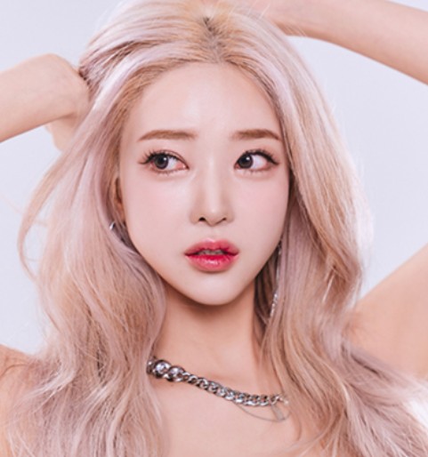 해미읍성축제