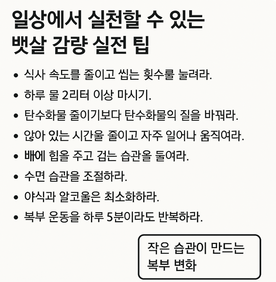일상에서 실천할 수 있는 뱃살 감량 팁