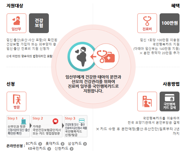 국민 행복카드(바우처) 발급 방법&amp;#44; 사용처&amp;#44; 카드사 혜택 비교 