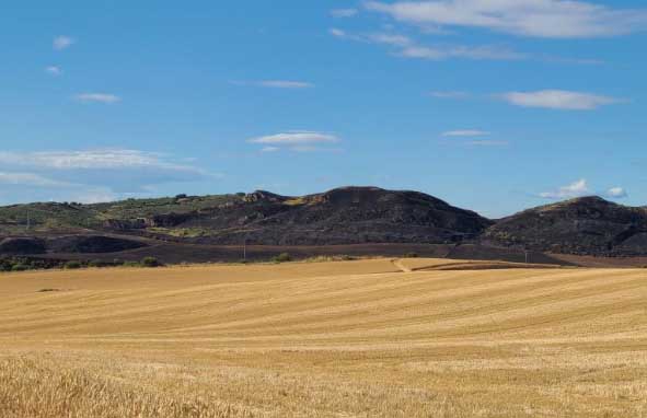 2025년 제주도 장마기간