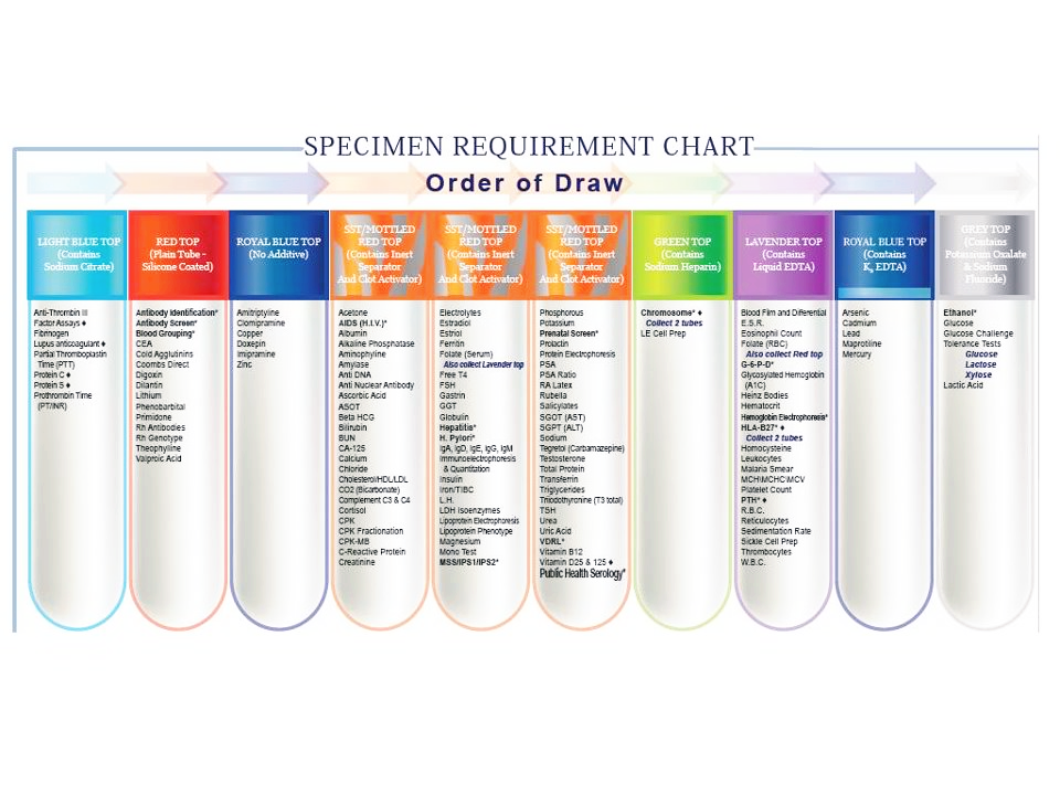 혈액보틀 종류별 검사항목