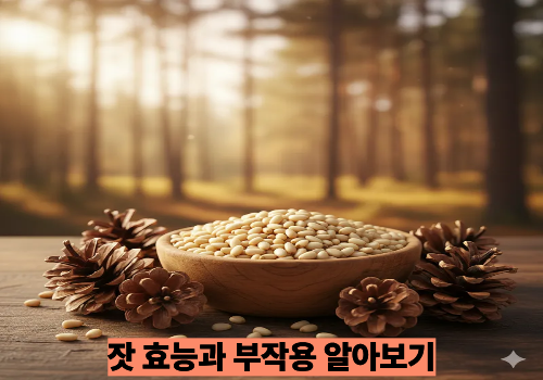 잣 효능과 부작용 알아보기