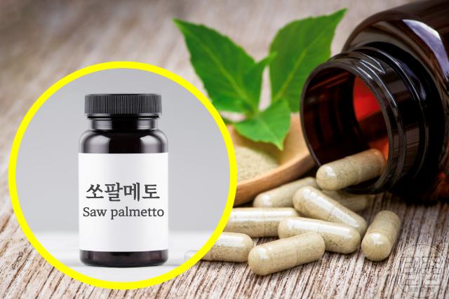 방광 영양제 쏘팔메토 비뇨기과 전문의 추천