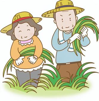 농업경영체 등록 조건 혜택 온라인 서비스 등록 방법 