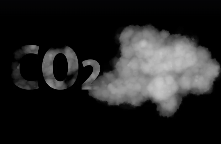 탄소 배출 저감 정원 디자인