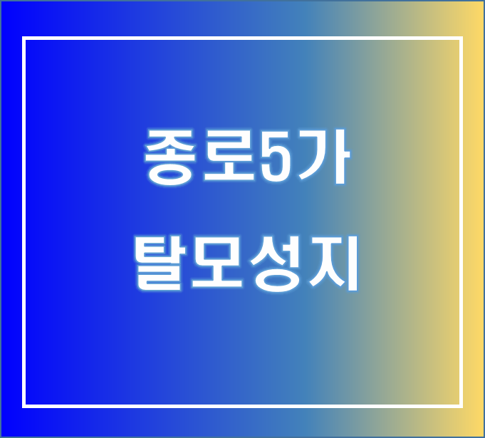 종로5가 탈모성지 병원 약국