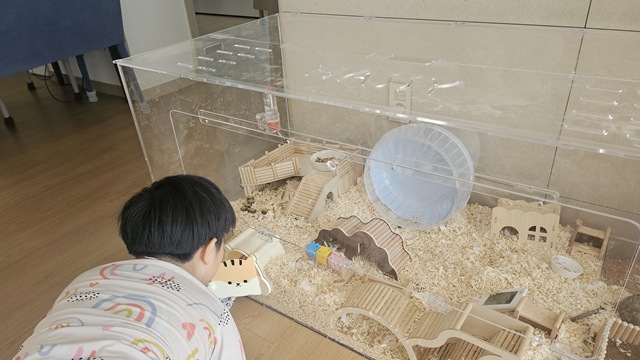 계속 케이지 들여다보기