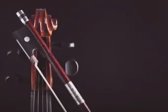 오케스트라를 구성하는 클래식 악기들의 종류와 특징을 정리_7