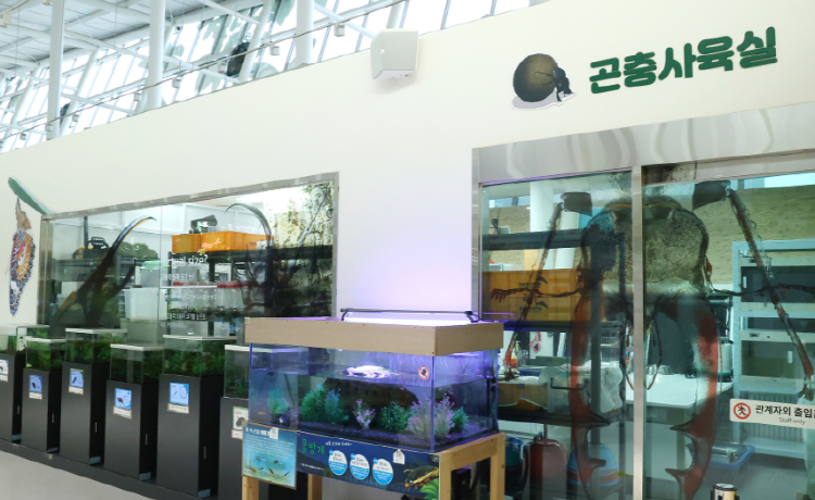 국립과천과학관