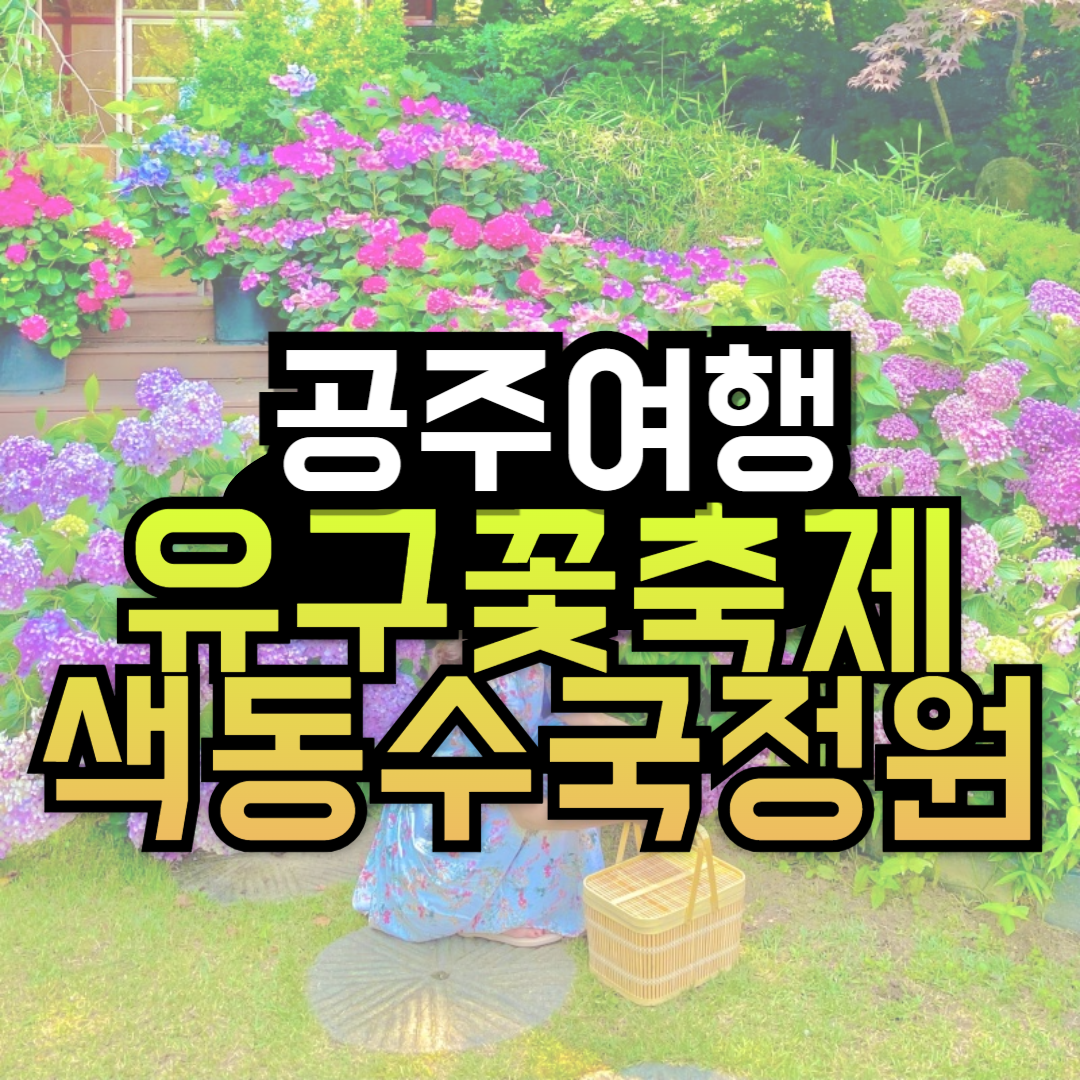 6월 유구 색동수국정원 꽃축제