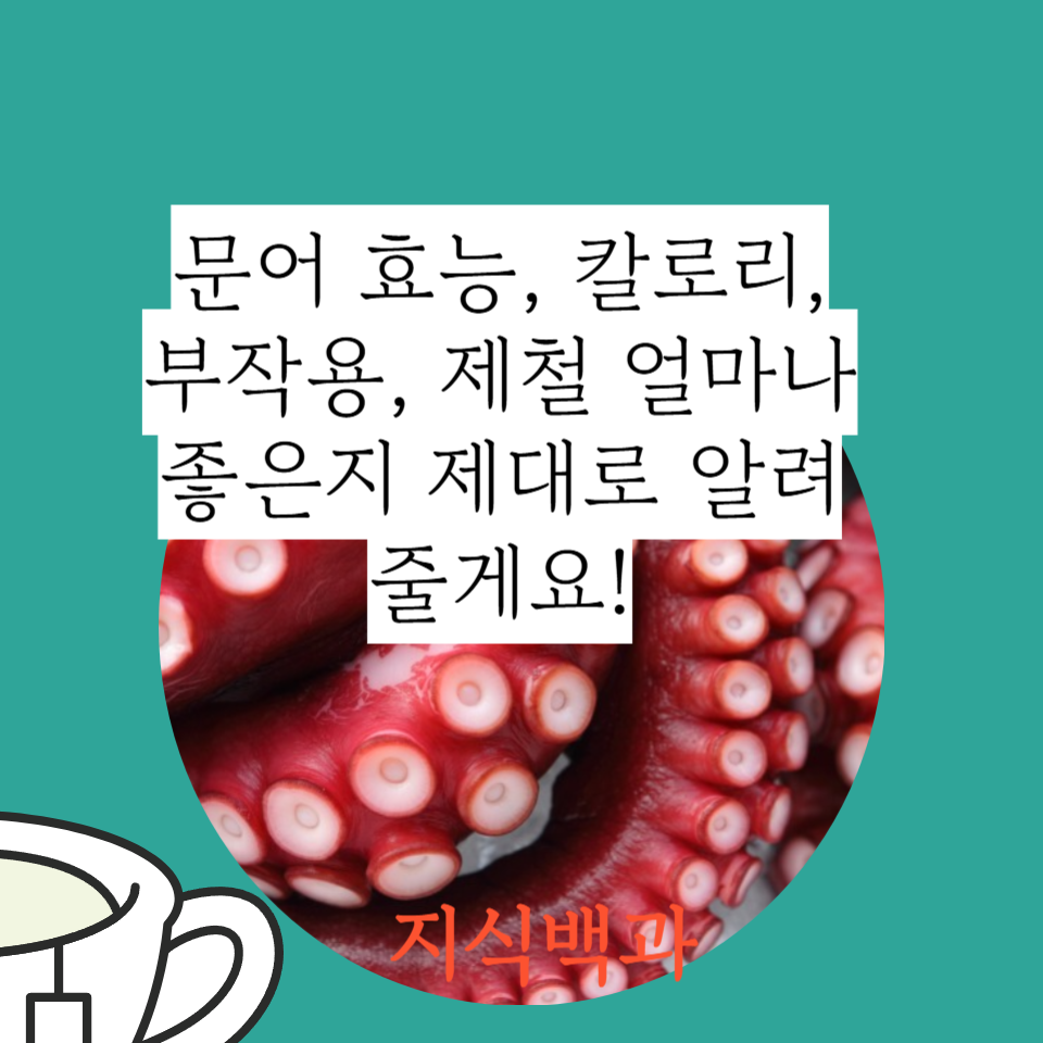 문어 효능, 칼로리, 부작용, 제철 얼마나 좋은지 제대로 알려줄게요!
