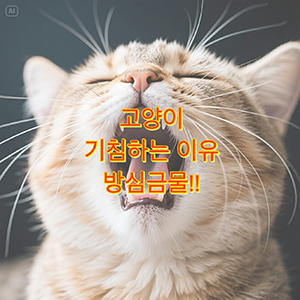 고양이가 기침을 해요! 단순 털 때문일까? 병원 가야 할까?