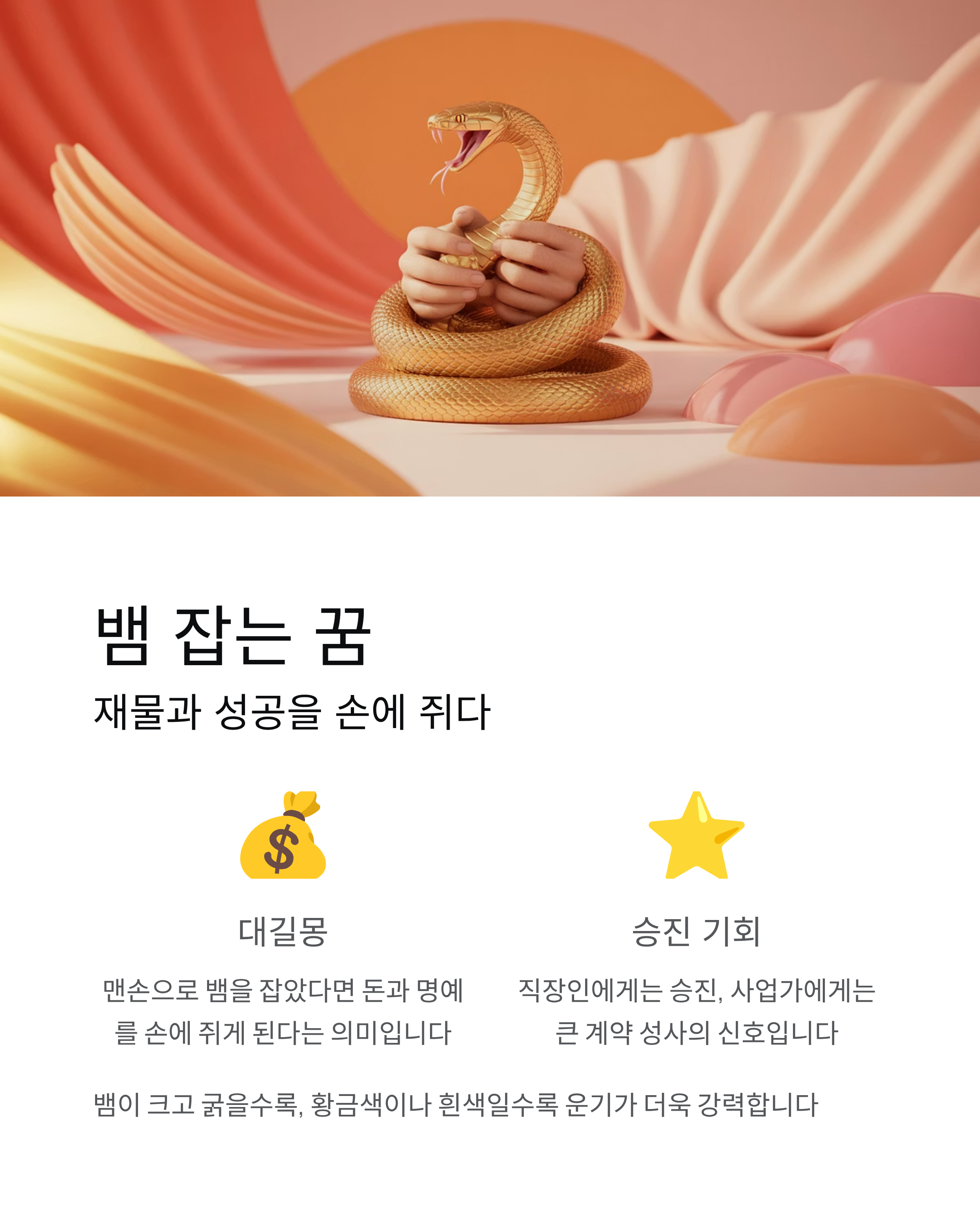 뱀 잡는 꿈 뱀 죽이는 꿈 뱀이 집에 들어오는 꿈 해몽 총정리! 로또 사야 할까?