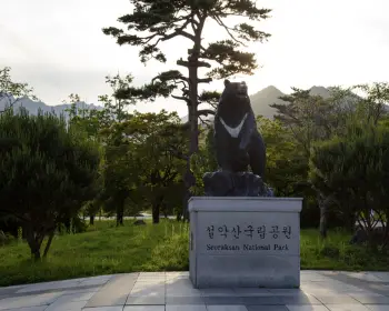 설악산 케이블카_11