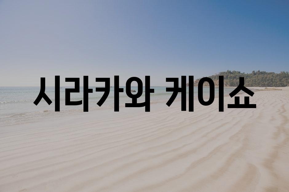 샘플 (76)