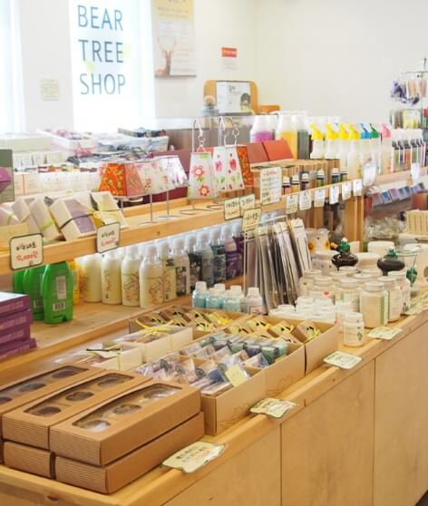 베어트리파크 단풍축제