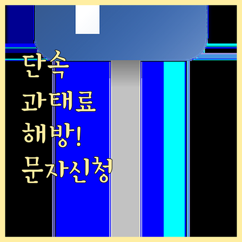 대전 유성구 주정차단속알림 문자 서비..