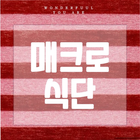 매크로 식단 설정과 계산법, 실천 가이드