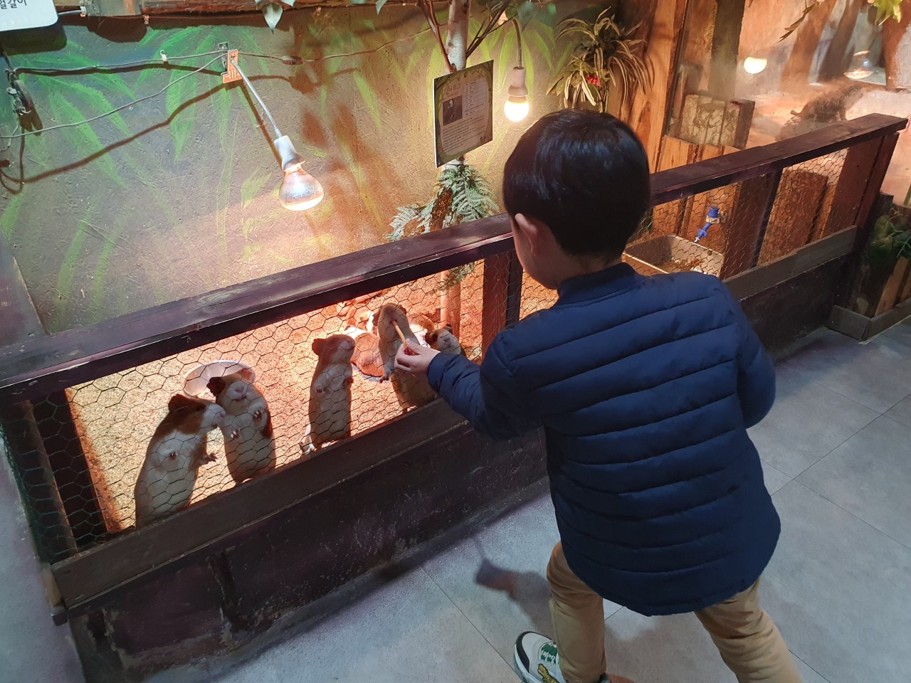 오산 가볼만한곳 - 오마이쥬