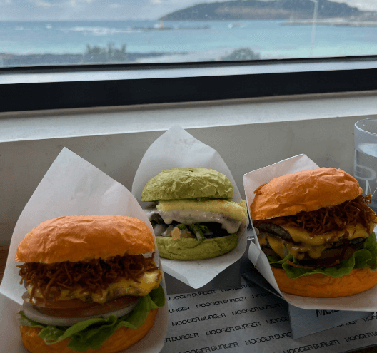 생방송투데이 3색버거 제주 삼색버거 제주시 개척식당 맛집