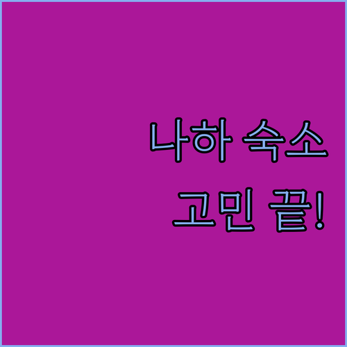 나하 숙소 고민 끝! 가성비 캡슐 호