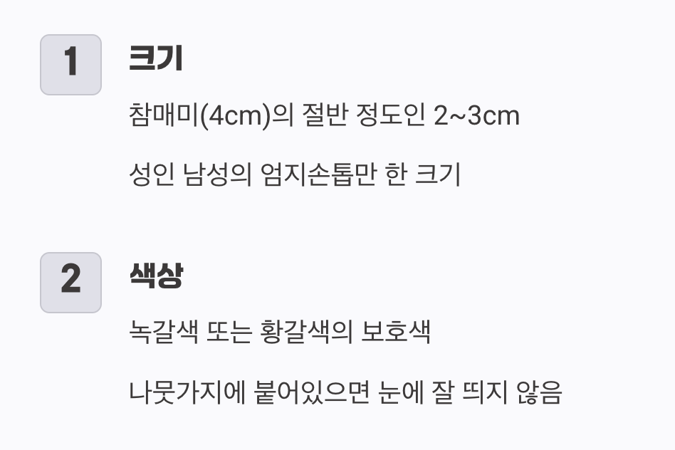 한눈에 알아보는 &amp;#39;미니어처&amp;#39; 외형