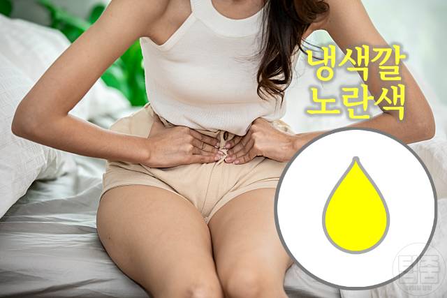 냉색깔 노란색 갈색 회색 녹색 분홍색 생리냉증가