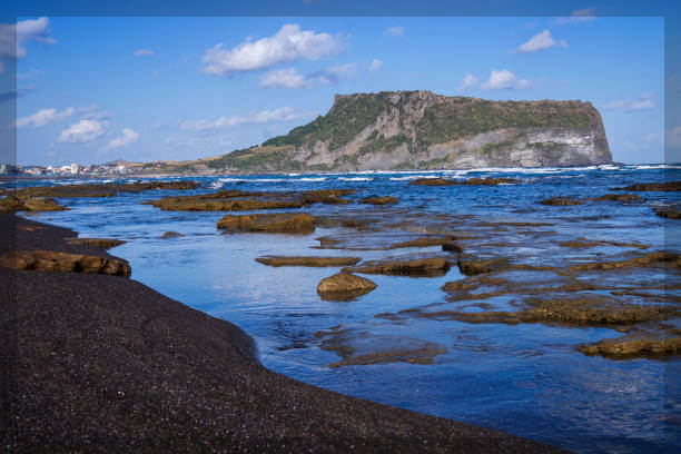 제주항공 수화물 규정 완벽 가이드