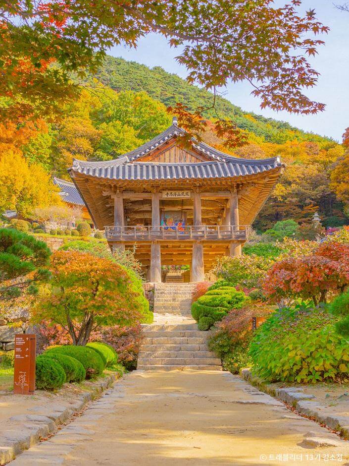 전국 단풍명소&amp;#44; 절정시기